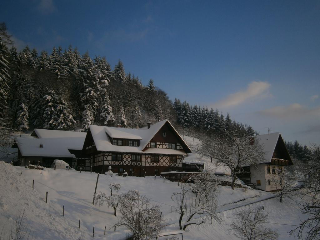 Ferienhof Fischer Seebach Exterior foto